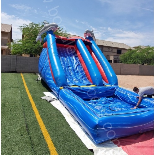 wm-14_foot_dolphin_waterslide_with_pool-04