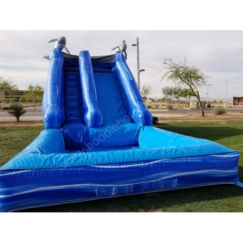 wm-16_foot_dolphin_slide_with_pool-4