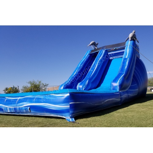 wm-16_foot_dolphin_waterslide_with_pool-07
