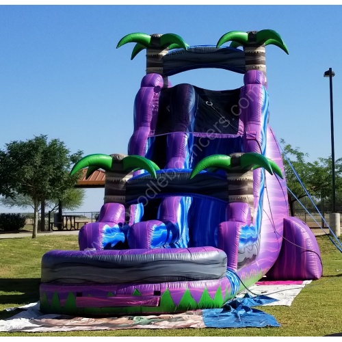 wm-picture-2019__5-17-2019_8-32-26_am_26_1445230014